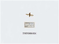 藏品(雙翅目)的圖片